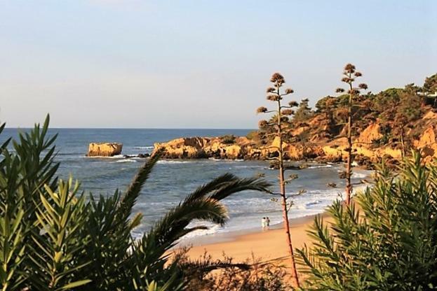 Sunny Apartment Close To The Beach Albufeira Dış mekan fotoğraf